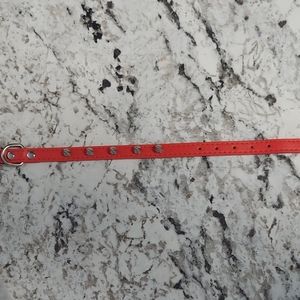 Spiked dog collar